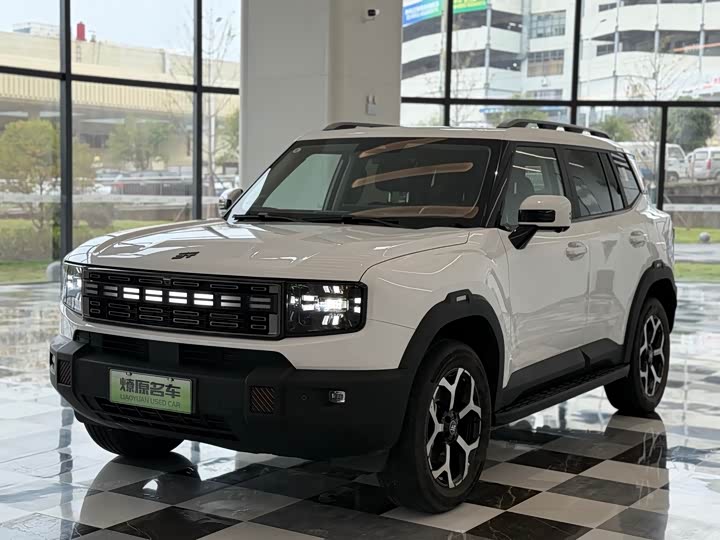 Jetour Shanhai T1 2024 2024款 150km 向海