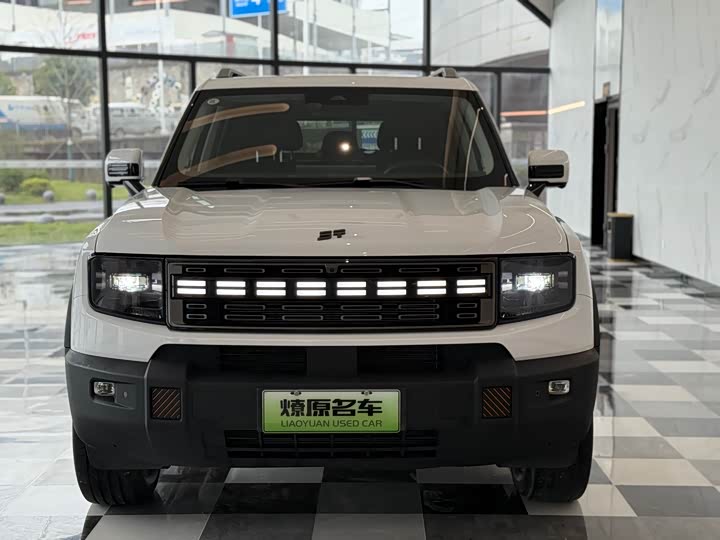 Jetour Shanhai T1 2024 2024款 150km 向海