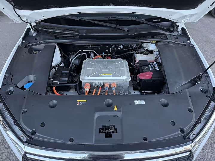 BYD Qin EV 2019 2019款 出行版