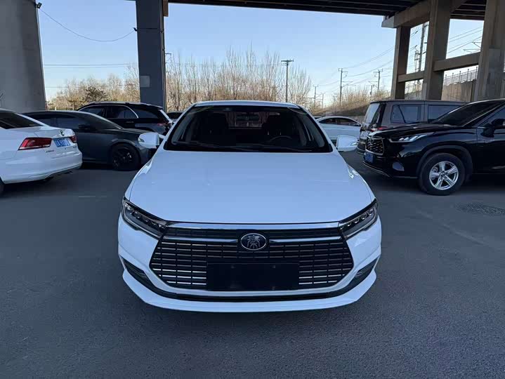 BYD Qin EV 2019 2019款 出行版