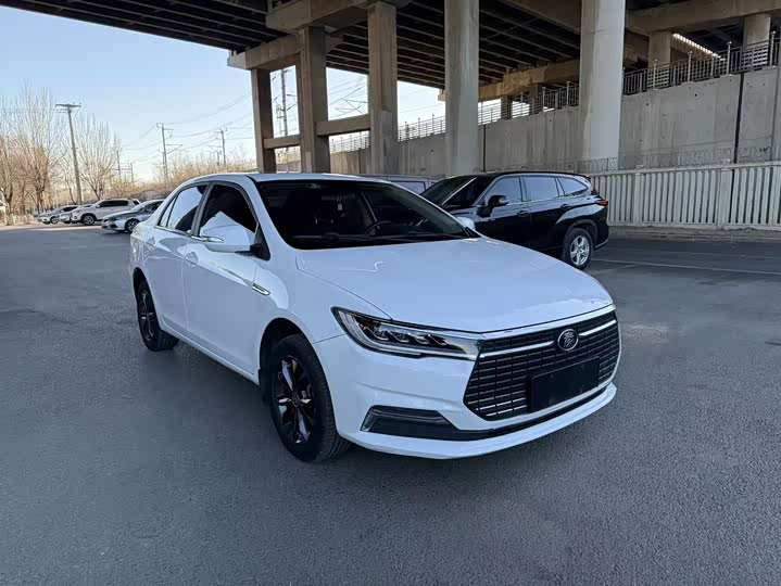 BYD Qin EV 2019 2019款 出行版