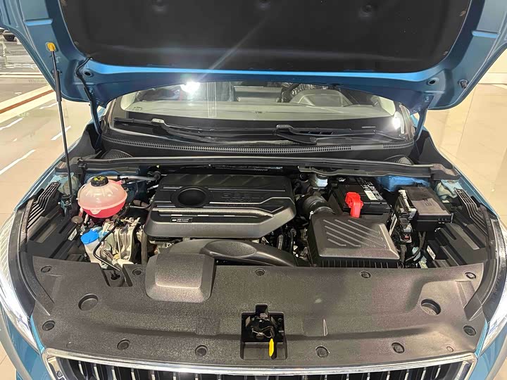 Geely Emgrand GS 2021 2021款 1.4T CVT尊贵型