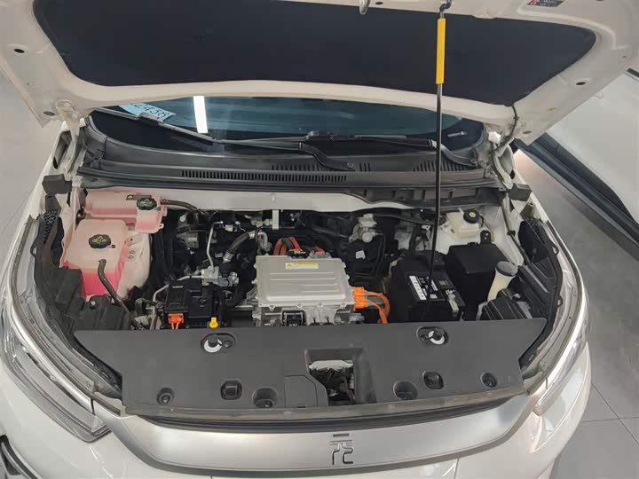 BYD Yuan Pro 2021 2021款 401KM 尊贵型