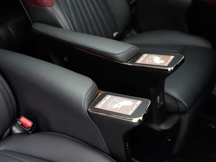 GAC Trumpchi E9 2024 2024款 E9 宗师版