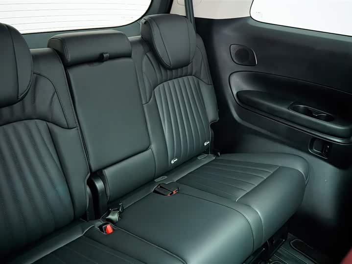 GAC Trumpchi E9 2024 2024款 E9 宗师版