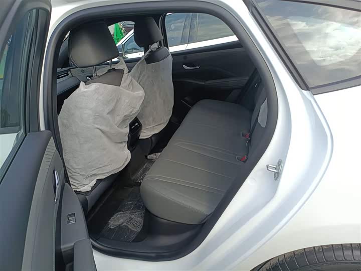 BYD Qin Plus 2025 2025款 DM-i 智驾版 55KM领先型