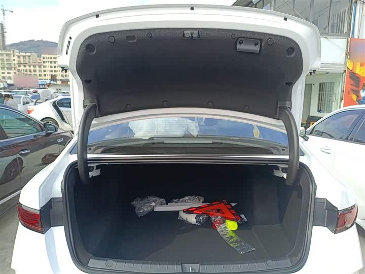 BYD Qin Plus 2025 2025款 DM-i 智驾版 55KM领先型