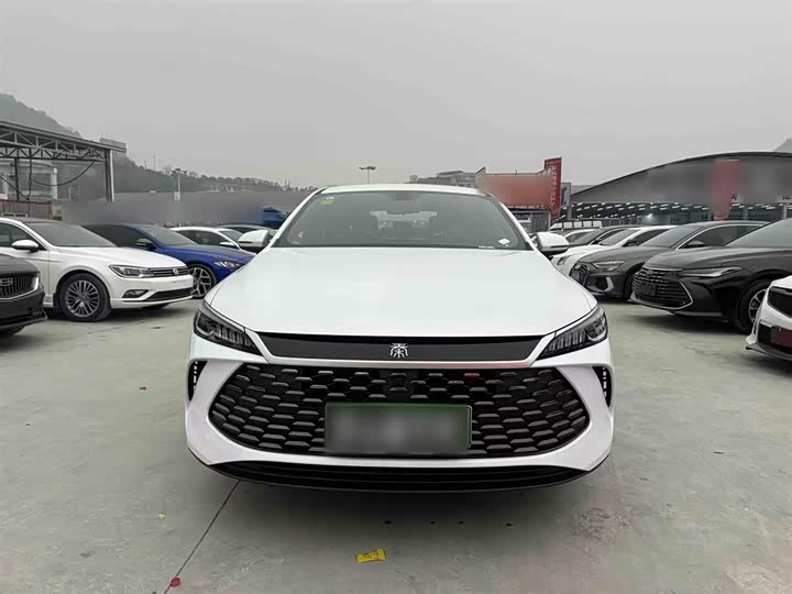 BYD Qin Plus 2025 2025款 DM-i 智驾版 55KM领先型