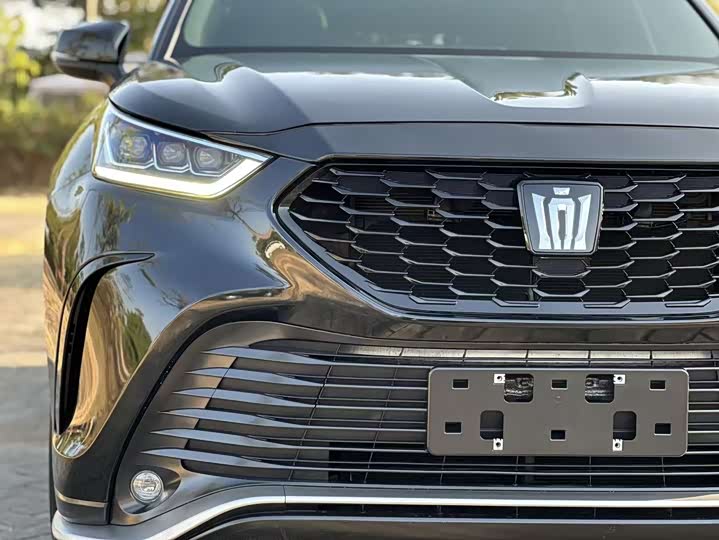 Toyota Crown Kluger 2024 2024款 2.5L HEV四驱豪华版