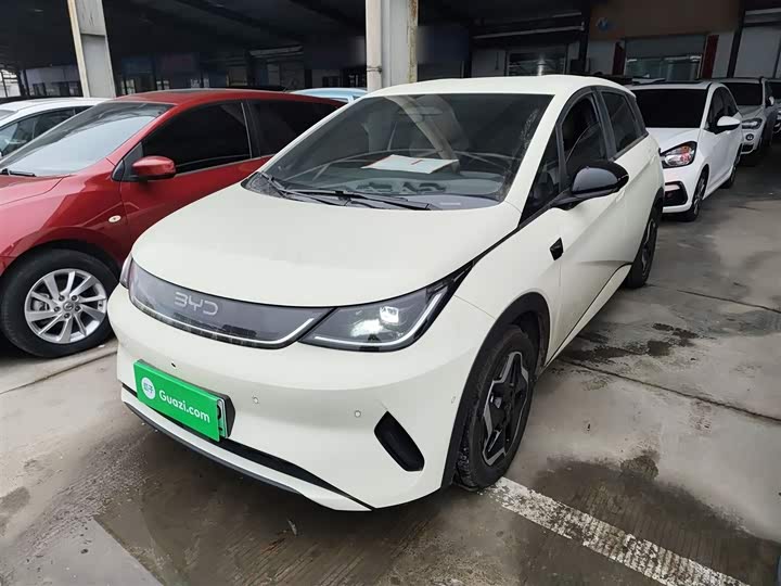 2025 BYD Dolphin