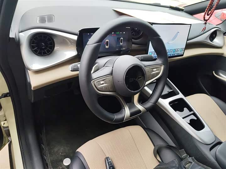 BYD Dolphin 2025 2025款 智驾版 420km 自由版