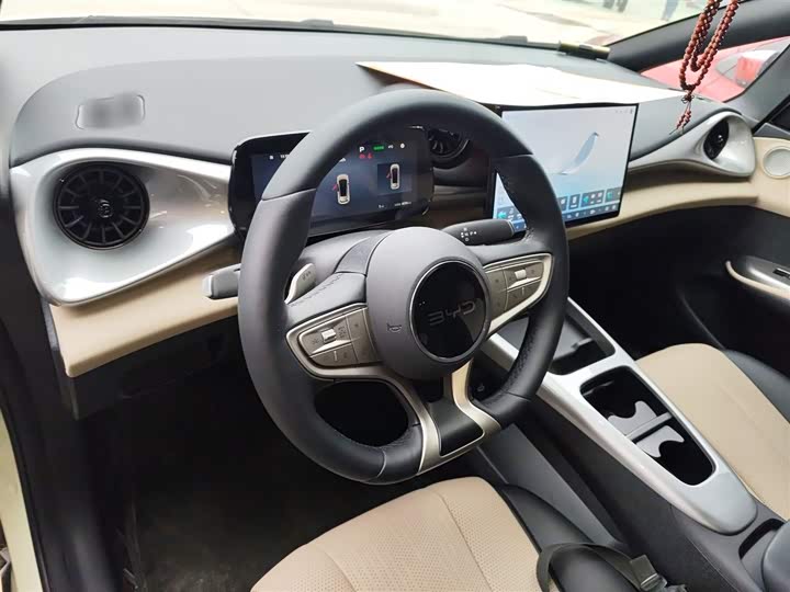 BYD Dolphin 2025 2025款 智驾版 420km 自由版