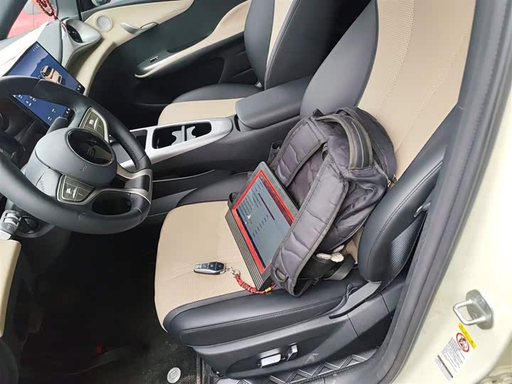 BYD Dolphin 2025 2025款 智驾版 420km 自由版