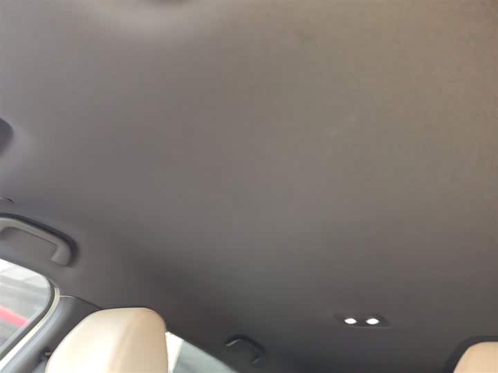 BYD Dolphin 2025 2025款 智驾版 420km 自由版