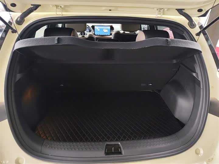 BYD Dolphin 2025 2025款 智驾版 420km 自由版