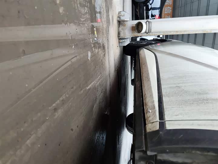 BYD Dolphin 2025 2025款 智驾版 420km 自由版