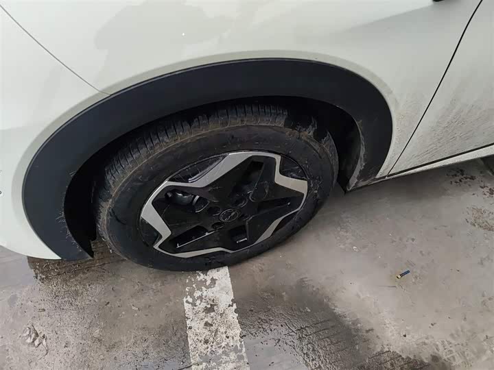 BYD Dolphin 2025 2025款 智驾版 420km 自由版