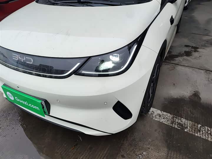 BYD Dolphin 2025 2025款 智驾版 420km 自由版