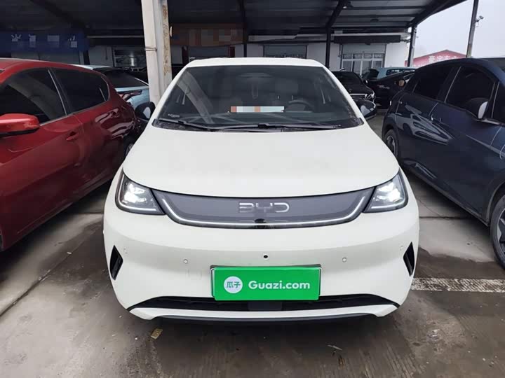 2025 BYD Dolphin