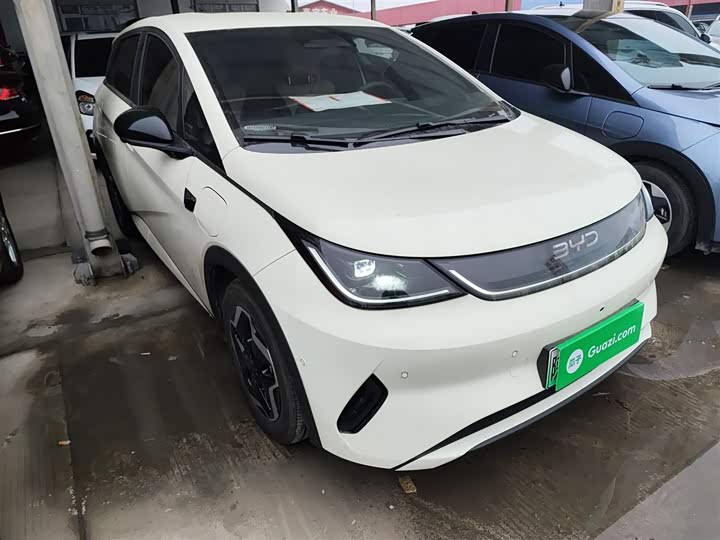 2025 BYD Dolphin