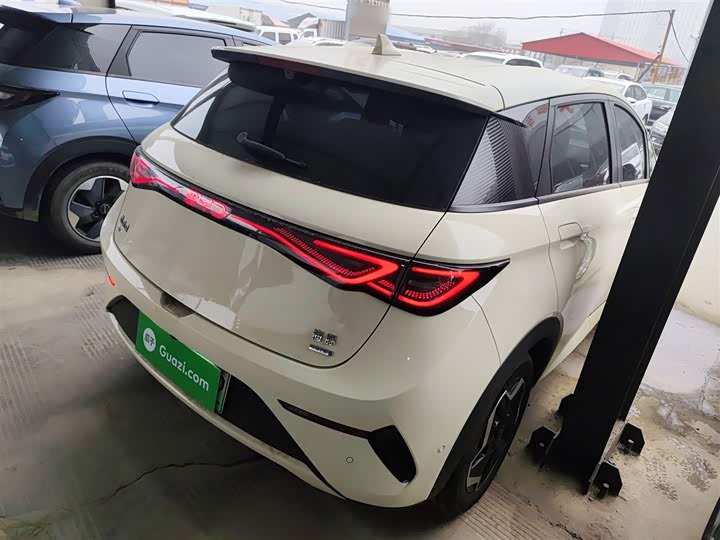 BYD Dolphin 2025 2025款 智驾版 420km 自由版