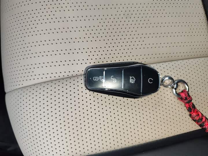 BYD Dolphin 2025 2025款 智驾版 420km 自由版