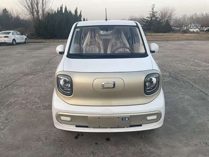 Bestune Pony 2026 2026款 222km 炫彩马