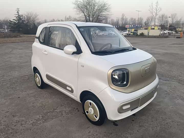 Bestune Pony 2026 2026款 222km 炫彩马