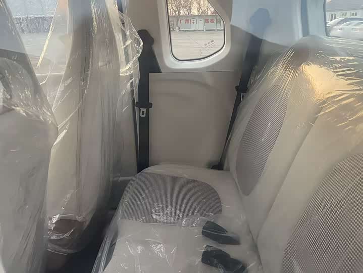 Bestune Pony 2026 2026款 222km 炫彩马