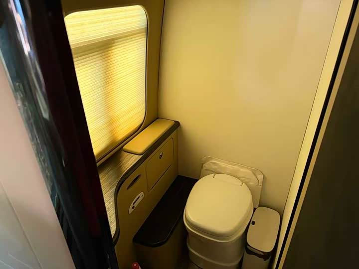 Toyota Coaster 2019 2019款 4.0L高级车GRB53L-ZCMSK 20座特别版9GR