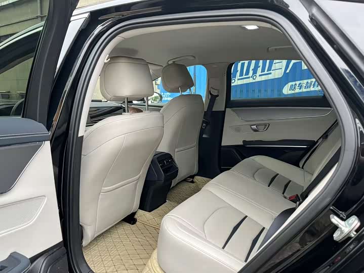 BYD E9 2021 2021款 商务版