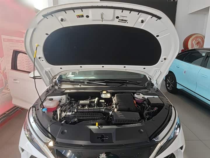 BYD Qin L 2025 2025款 DM-i 智驾版 120KM卓越型