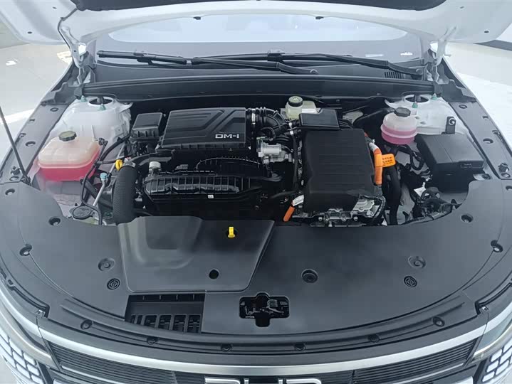 BYD Destroyer 05 2024 2024款 荣耀版 DM-i 55KM 豪华型