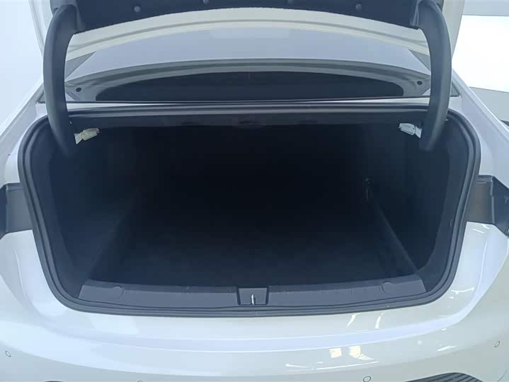 BYD Destroyer 05 2024 2024款 荣耀版 DM-i 55KM 豪华型