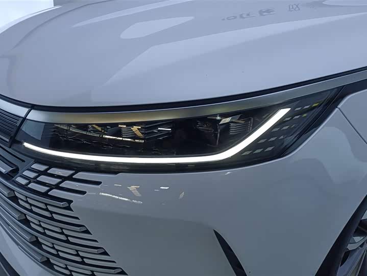 BYD Destroyer 05 2024 2024款 荣耀版 DM-i 55KM 豪华型