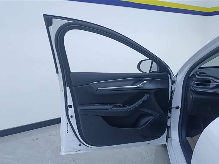 BYD Destroyer 05 2024 2024款 荣耀版 DM-i 55KM 豪华型