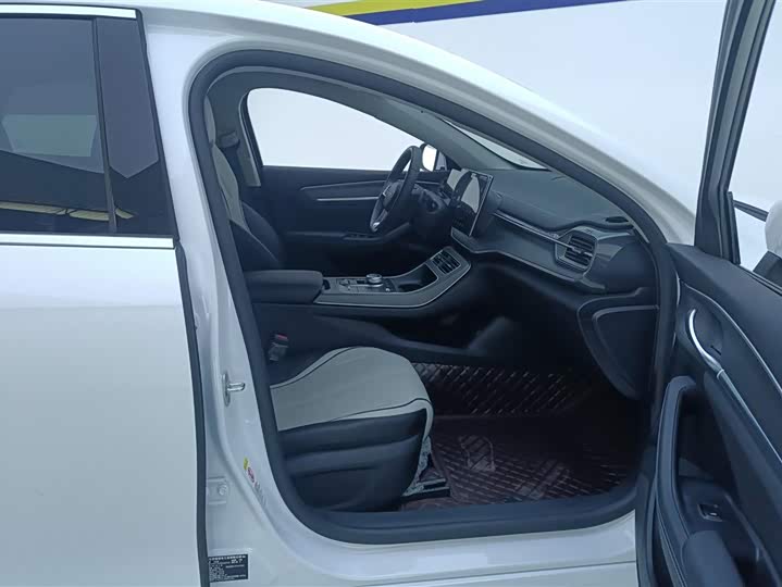 BYD Destroyer 05 2024 2024款 荣耀版 DM-i 55KM 豪华型