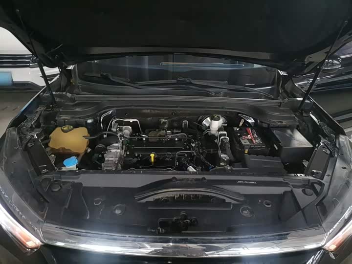 Beijing X7 2020 2020款 1.5TD DCT致风版