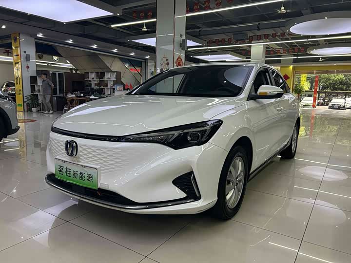 Changan Eado EV 2022 2022款 EV460 智行网约版 磷酸铁锂