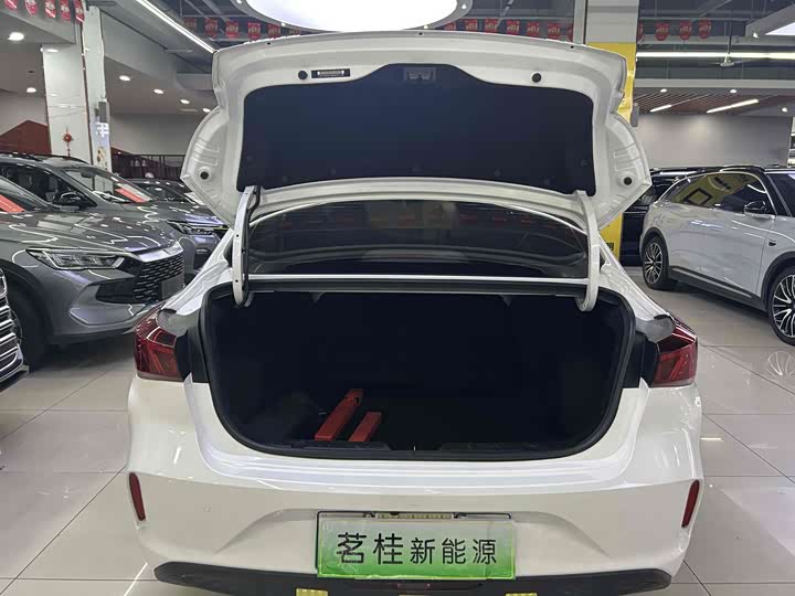 Changan Eado EV 2022 2022款 EV460 智行网约版 磷酸铁锂