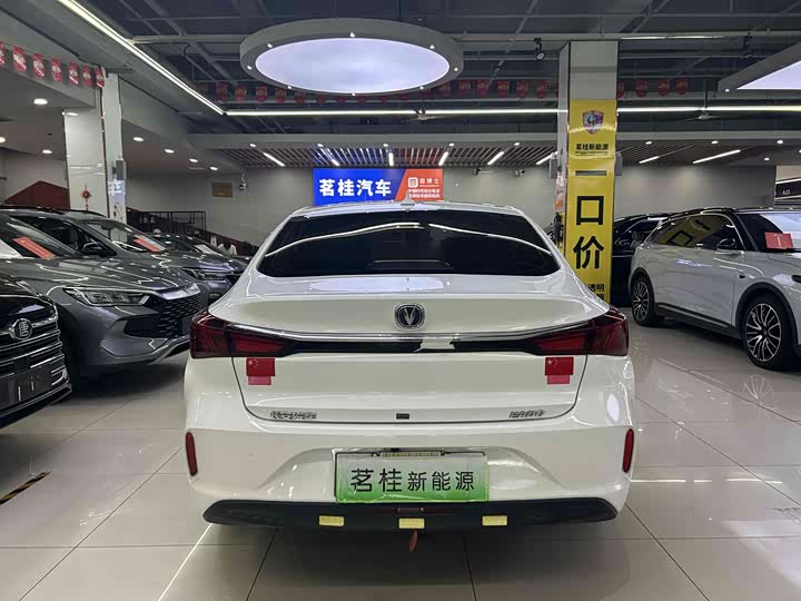 Changan Eado EV 2022 2022款 EV460 智行网约版 磷酸铁锂