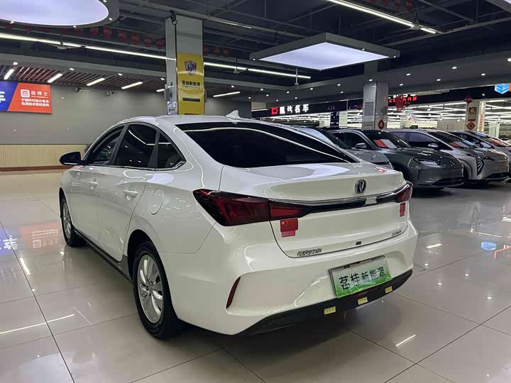 Changan Eado EV 2022 2022款 EV460 智行网约版 磷酸铁锂