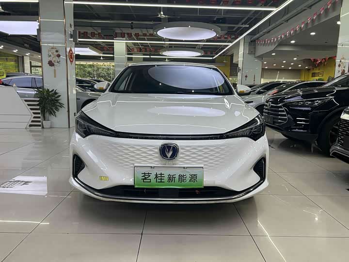 Changan Eado EV 2022 2022款 EV460 智行网约版 磷酸铁锂