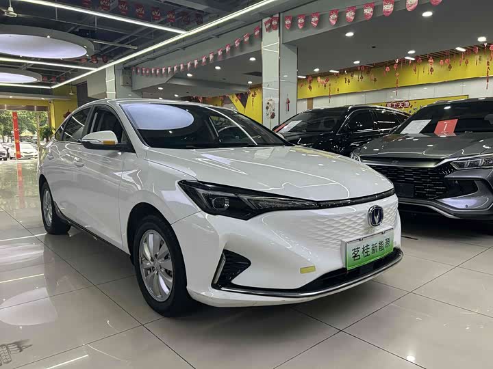 Changan Eado EV 2022 2022款 EV460 智行网约版 磷酸铁锂
