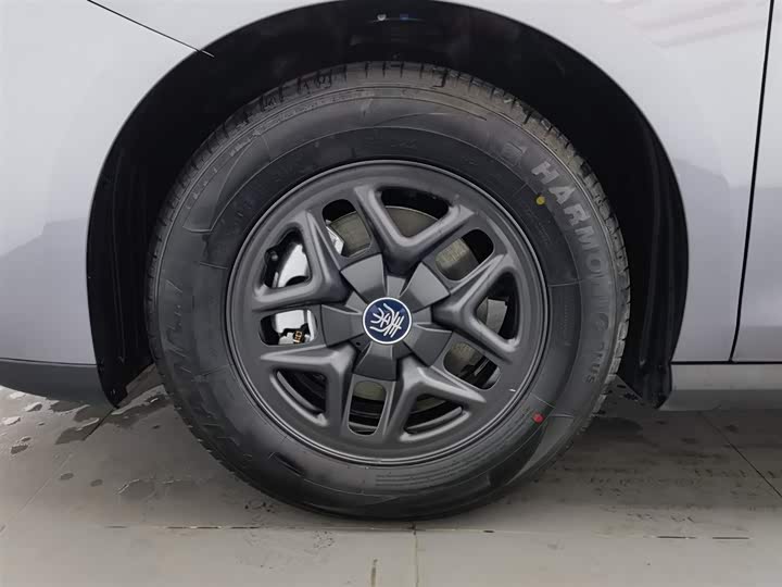 BYD Qin Plus 2025 2025款 DM-i 智驾版 55KM领先型