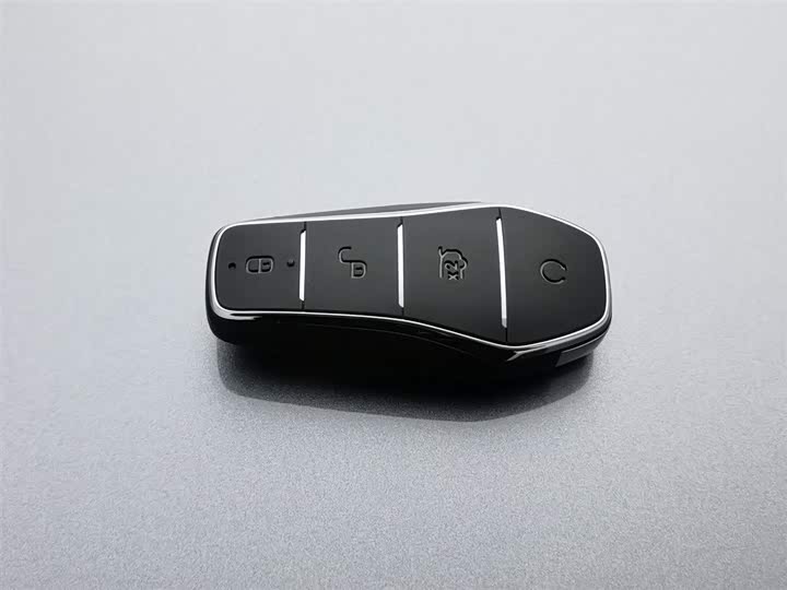 BYD Qin Plus 2025 2025款 DM-i 智驾版 55KM领先型