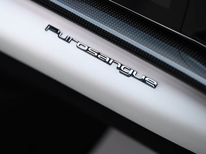 Ferrari Purosangue 2023 2023款 6.5L V12