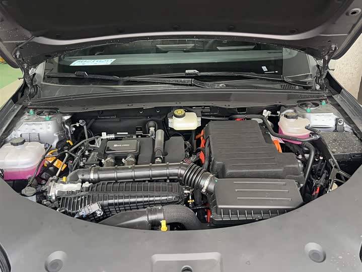 BYD Qin Plus 2025 2025款 DM-i 智驾版 55KM领先型