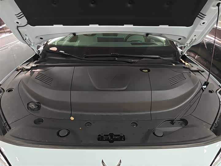 BAIC Arcfox Alpha S5 2024 2024款 560MAX 185kW