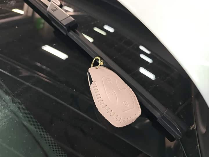 BAIC Arcfox Alpha S5 2024 2024款 560MAX 185kW